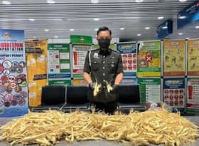 非法携带30公斤人参根入境  42岁本地男子被捕