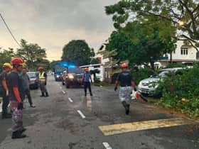 仁嘉隆风灾致6道路封闭   瓜冷快速队连夜清理恢复通车