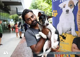 【街头，不该是它唯一的家3/4】NGO：打破恶性循环  绝育、教育与政策才是出路