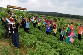 Gabungan alam dan warisan jadikan Rawang tarikan pelancong