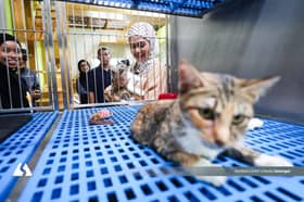 SPCA Selangor raikan Hari Haiwan Sedunia, semarak kasih sayang terhadap haiwan