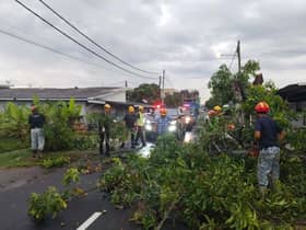 Ribut: Kerja pembersihan selesai, enam laluan utama terjejas boleh dilalui
