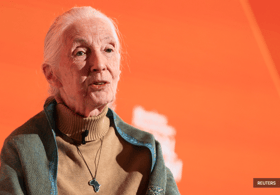 Wildlife advocate, primate expert Jane Goodall dies at 91