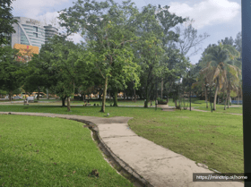 灵市厅接管万达镇中央公园   清空狗区分阶段施工提升