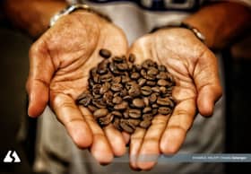 Tumpahan Espresso, cerita kopi Hakimi dan 108 Hideout