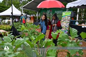 Barren land transformed into herb garden, green learning centre in heart of city