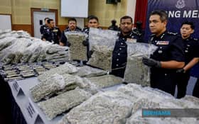 Ganja bernilai RM5.9 juta dirampas, tujuh termasuk dua wanita diberkas