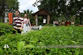 MBSJ gabung aksesibiliti, kelestarian dalam reka bentuk taman bandar