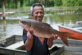 Banjir buka pintu rezeki nelayan Sungai Kinta ganda pendapatan