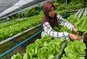 Nearly 10,000 communities benefit from SejaTi Madani programme — Dr Zaliha