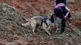 Angka kematian tanah runtuh di Cilacap, Indonesia meningkat kepada 11