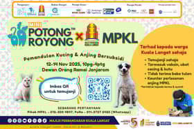 瓜冷市会下周办绝育计划 控制流浪动物数量