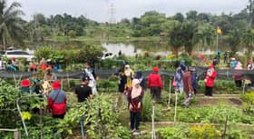 MBSA tawar insentif, galak penduduk mohon TOL buka kebun komuniti