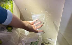 Premis makanan kotor di Batang Kali diarah tutup, empat dikompaun