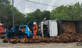 迈威与油棕罗里相撞 32岁女司机不治