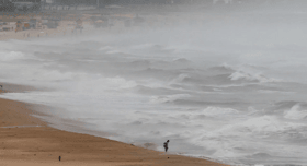 தமிழ்நாட்டை தாக்கிய டித்வா புயல் - மூவர் மரணம்