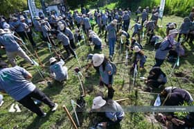 雪州4年期间种植740万棵树　嘉玛丽雅：绿化工作稳步推进