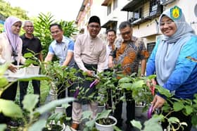 MPAJ empowers community gardens to bring people together