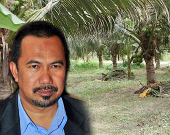 Sabak Bernam Jadi Hab Pengeluar Kelapa Pandan