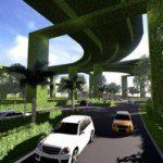 杨美盈：雪州公平处理  金白大道公司需符合三条件