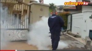 居委会需加入防范行列  梳邦市议会加紧灭蚊