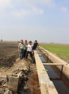 适耕庄稻田灰沟修好了  稻农如期灌溉笑开怀