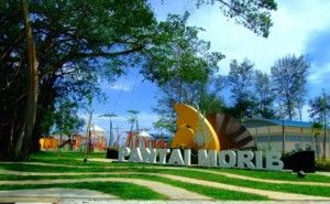 MDKL champion of beach sustainability and beauty