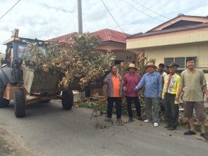全村人动起来  适耕庄B村新春大扫除