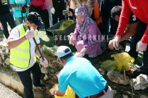 Dengue: 29 premises ordered to close, 231 compounds issued this month