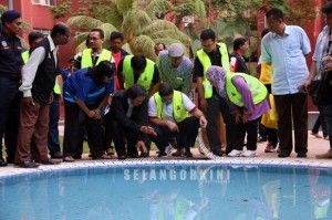 EXCLUSIVE: Water collection is believed to be the cause of dengue