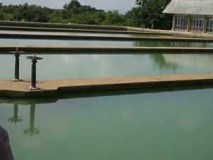 Polluting water sources, state government will not compromise