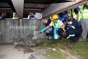 连续4周病例下降  雪州灭蚊措施奏效