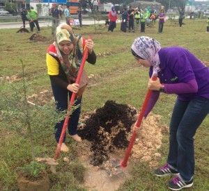 Make the environment green, over 80,000 trees targeted to be planted around Shah Alam