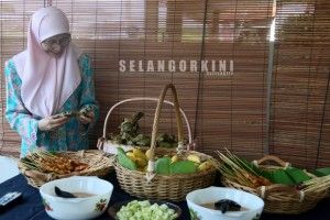 Wan Azizah: Permatang Pauh by-election candidate PKR's right