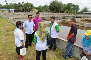 Bestari Jaya TKM participants can continue project