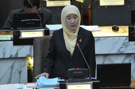 对抗骨痛热症新招  雪4县试用灭蚊喷雾