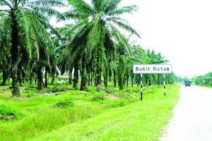 No problem, house of worship near Bukit Rotan