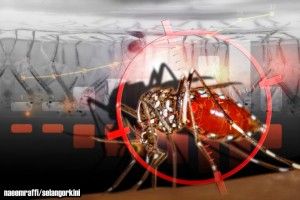 Shah Alam records a decrease in dengue cases for 2 consecutive weeks