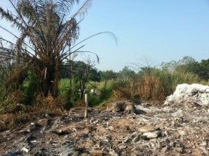 Illegal waste: MPK confiscates four-wheel drive