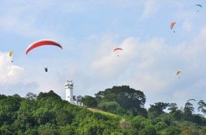 滑翔伞国际赛带旺旅游业  黄洁冰：刺激瓜冷经济