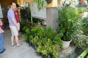 1,000 free trees to appreciate citizens of Petaling