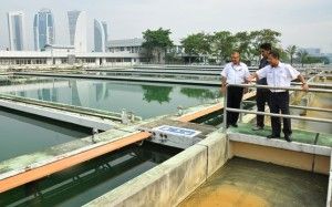 Water treatment plants should be connected to avoid disruptions