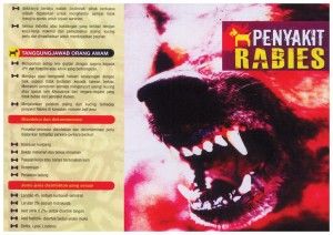 全面戒备狂犬症  梳邦市会捕998野狗