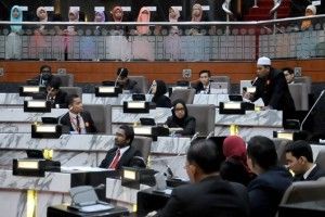 Young Assemblymen spirited, but need to do more 'homework'