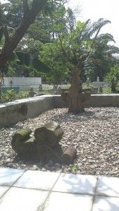 Study 53 old tombstones