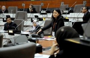 DNS selects young assemblymen with no experience