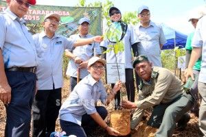 Gazetted land targets for forest to remain at 35%