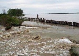 石块取代树干  水利局抢修沙白防堤