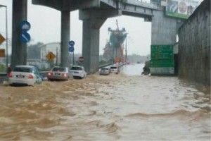 降雨量多恐水灾       灵市政厅绸缪应对