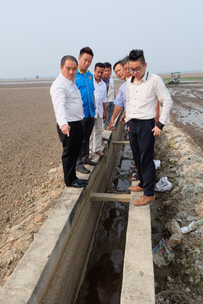 适耕庄稻田灰沟清好了